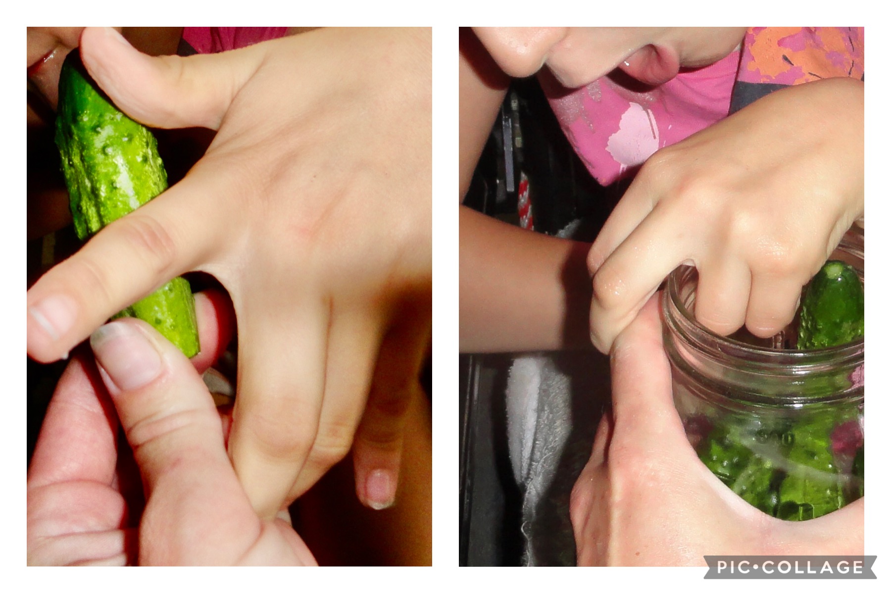 Image shows a pic collage of a child grabbing a small cucumber and then putting it into a jar to make pickles.